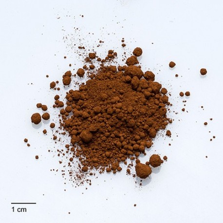 Colorant Acajou en 0,025kg