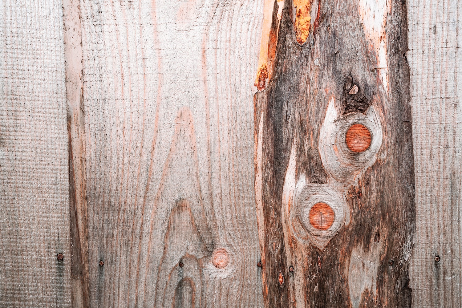 Comment sceller le bois avec la résine époxy bois ? Boutique résine époxy